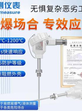 联测铠装温度变送器热电偶p100温度感器不传锈钢热阻高t温YRG探电