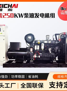 潍柴250千瓦柴油发电机组矿区备用250kva全自动启停ATS发电机组