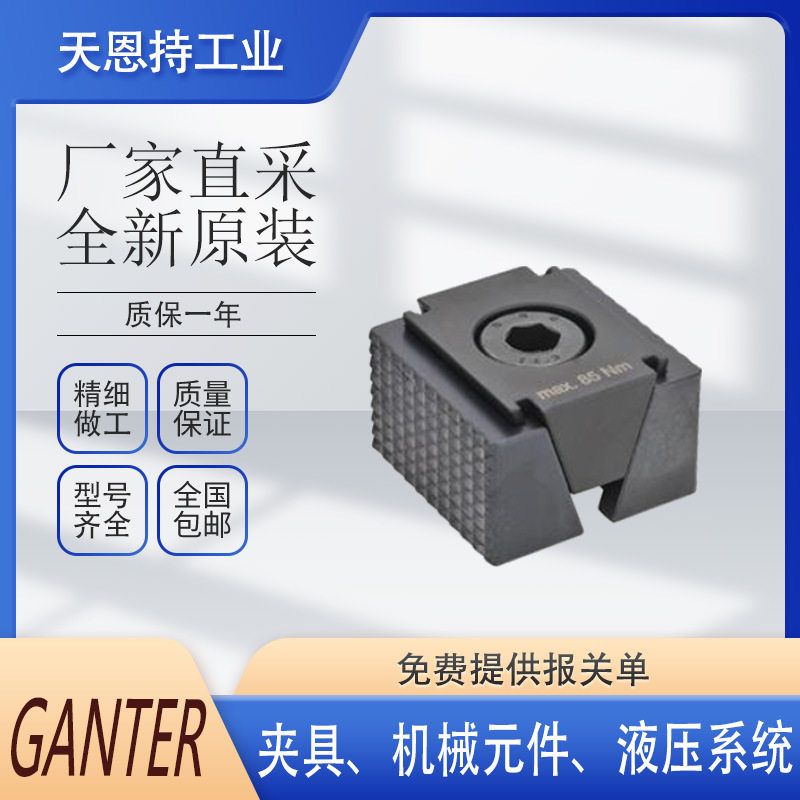 GANTER气动夹具GN508.1-8-M6
