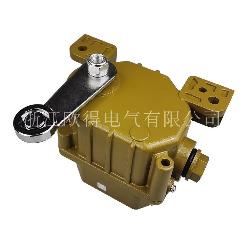 滚DQX1-GL2/5重型位开XSI关轮摆杆式耐环限境耐高温欧得行程开关