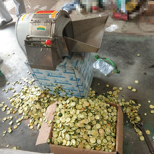 山楂无花果切片机 热销款全不锈钢大料口果蔬加工设备 出厂价销售