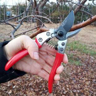 枝易速SJ80易速S修J803修枝剪园艺剪刀剪果树枝剪子园林苗木花刀