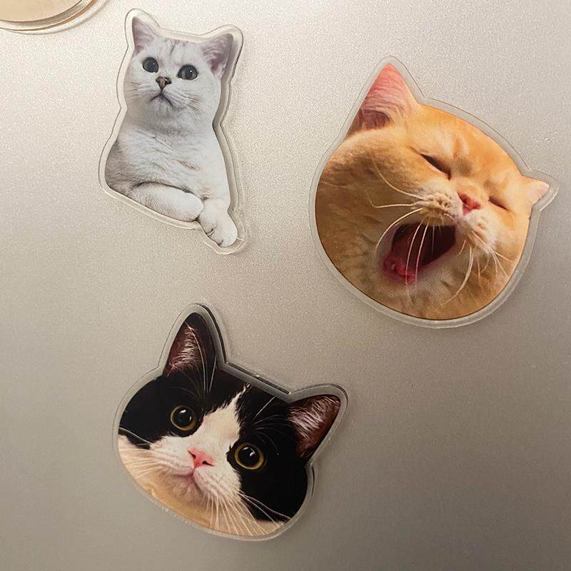 2024新款物冰箱IDP贴宠磁贴定制个性创意dy定做i照片亚克力磁吸装