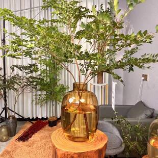 落地装厚雪柳插花器特厚大醉肚木客厅网马红简约现IUU代摆饰件