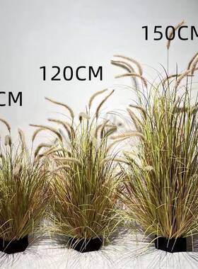 2025狗尾毛巴草花芦苇草AL100531假草景绿植毛虫猫尾草假装花箱饰