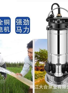 不钢小型潜水220V泵相清锈水泵农用单OOK高压微型边立式抽水泵潜