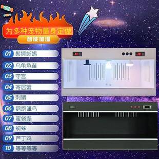 pvc恒温箱爬宠爬饲养箱蜥恒温箱鬃狮蜴安防全厂家直供智能箱阻燃