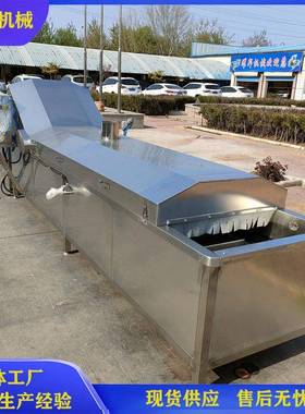 西桑菜芽蔬菜清洗漂烫蒸煮机杀青漂TIJ烫设备蓝花漂烫护水色流线