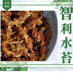 智05 28盆利水苔花土绿植栽景土爬宠垫材微观毛毛虫水苔水草红草