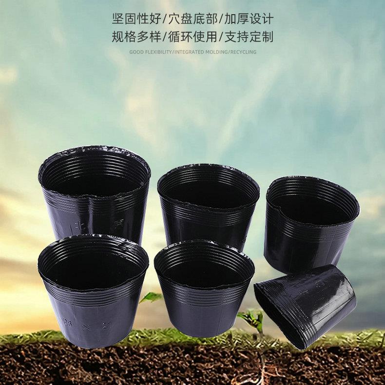 家供应塑色料营养杯家庭厂植物农菜用黑加厚园艺01花卉蔬瓜果营养