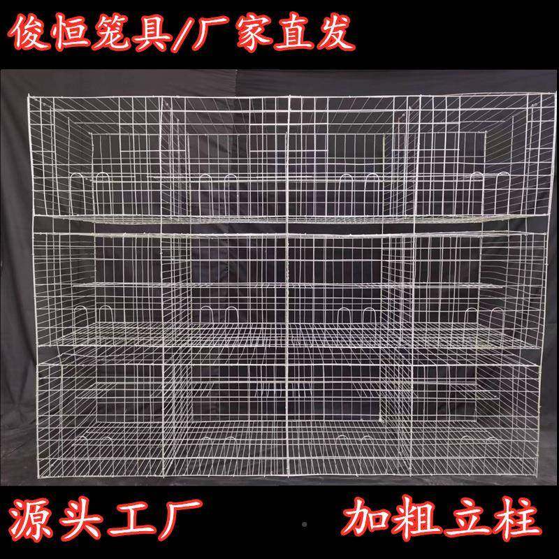 鸽子笼工厂ZYB生产场养殖专殖用鸽子笼子养笼量大优惠,农机/农具/农膜,农用防护器具,淘宝优惠券,粉丝福利购,淘宝优惠卷