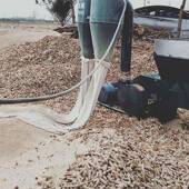 龙钰绞龙沙绞克粉碎机60MAW0型带龙式 龙粉机除尘器秸秆粉碎碎机