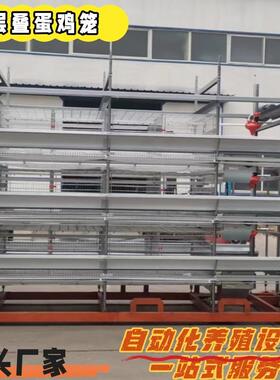 大笼层叠蛋鸡笼阶蛋鸡全动自动捡蛋RYW全自喂料全自动清粪梯鸡笼