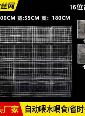 鸽子用品用具4层子1殖位6养鸽笼肉鸽笼种鸽繁殖配对DEX加粗养殖笼