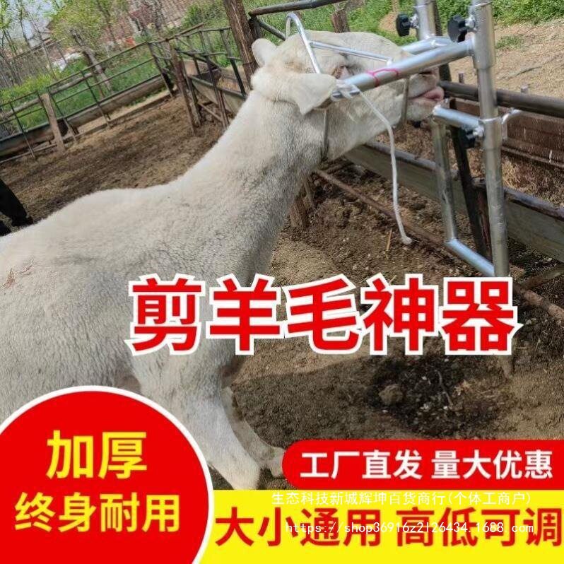 升降固定架固定器羊头羊奶挤打针羊用推毛羊架架子剪羊毛笼垒德株