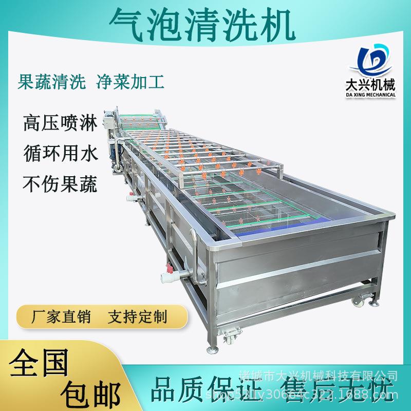 葡萄千禧果气泡清洗机柿子李子樱桃全自动清洗设备果蔬清洗机