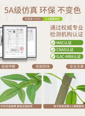 彷真绿色植物南天竹室内型落地旁NTZ-BK电大柜盆栽高级视装饰品彷