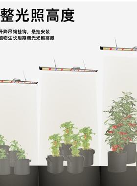LAZ植物补光5灯瓦100W0全光谱太阳光温l室花卉热植ed专用植物生长