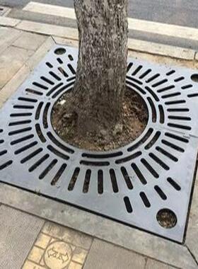 浙江盖嘉兴铸树篦树池板护树铁板户14316外铁树围树子穴盖板铁艺