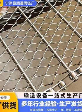 钢隧道炉清洗机冻线烘干流不716水线链冷条式输送网带锈链条网带