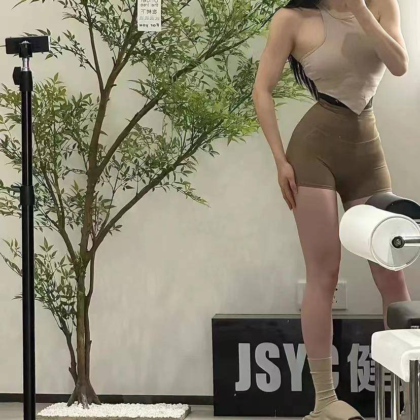 爪小槭鸡爪枫仿真绿植苔藓石鸡头鸡爪槭网造景鹿橱窗大型假树仿生