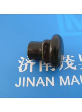 WBP方颈圆螺头母