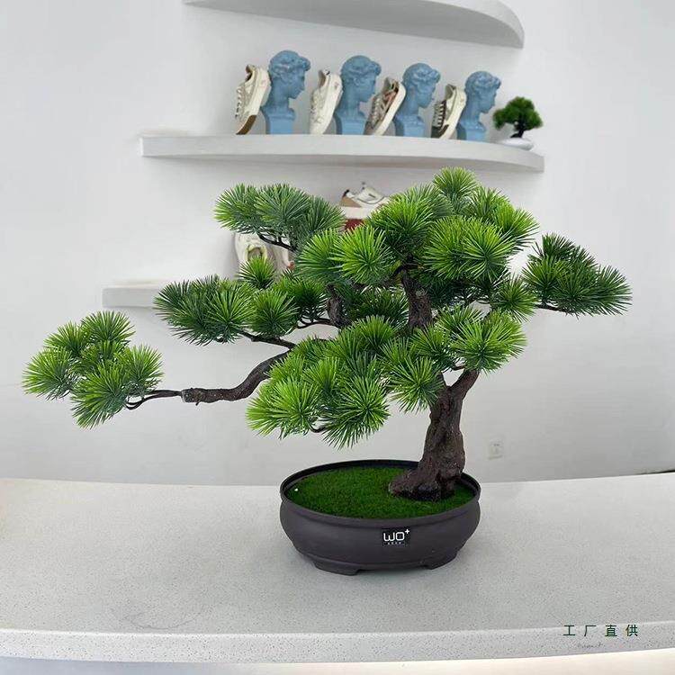 假仿真松树树迎客松F965JM98罗汉松客造厅书房装饰型美人发松财树
