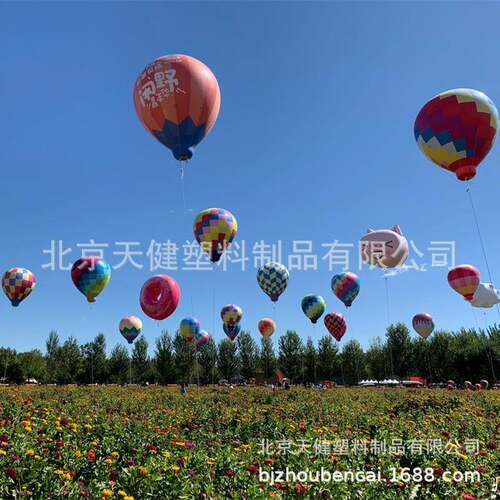 网红PV热C充加厚空飘00海气球升空气球户外花装饰气美陈气球气模