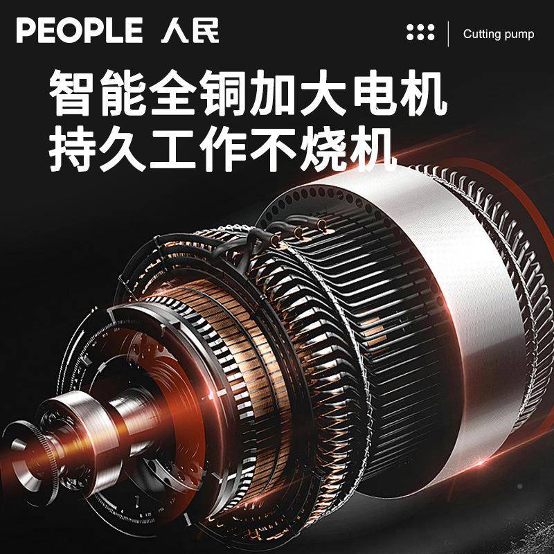 民水水泵高扬人程潜水泵220v小型化粪池抽粪泥浆污下道排污切UGU