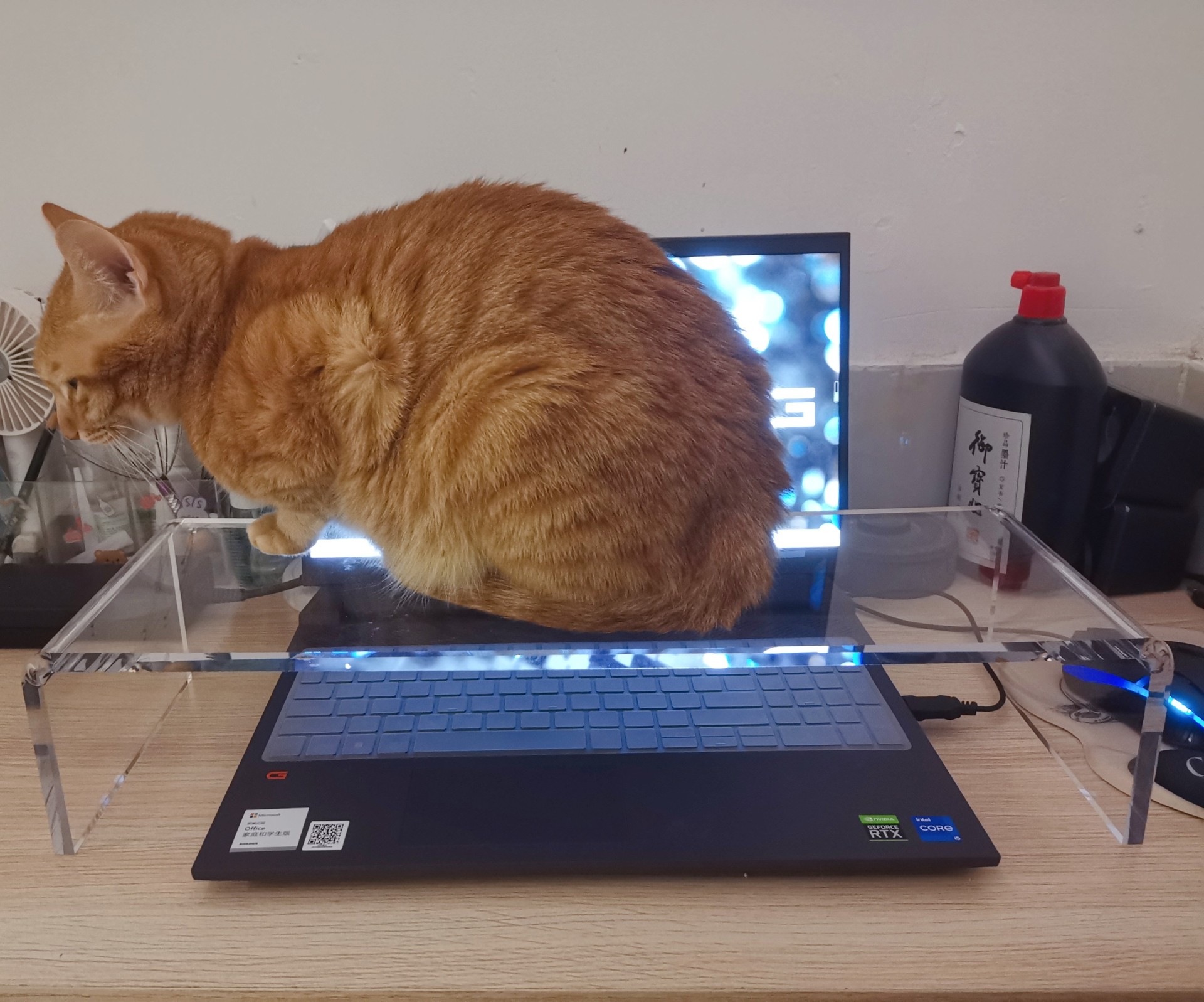 透明亚克力防猫键盘罩铲屎官多功能一体保护罩多功能增高架收纳架