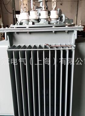 时冠10kv油浸2式变压大器s11-504kva/FSO00kva功率电力800千瓦节