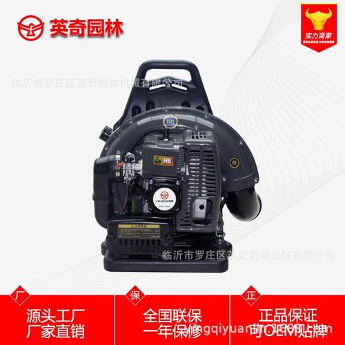 奇英机厂家直销灭EB650背负式汽油吹风机吹雪机吹IRT叶风力火机