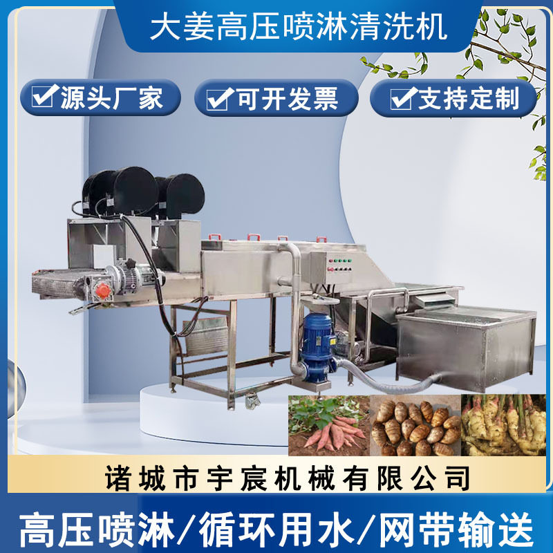 全自动大姜清洗机 芋头马铃薯根茎类产品清洗机 鲜姜黄姜洗姜机