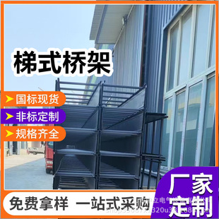 梯式桥架镀锌不锈钢热浸锌铝合金防火梯式桥架300*200带盖板