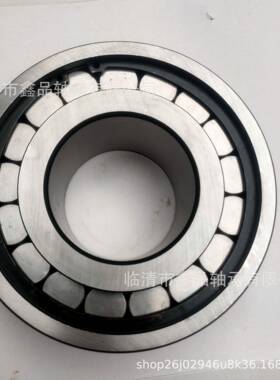 圆柱滚子轴承NJ48EM/4NJ4JMU242EM/C3振C动筛Z轴承