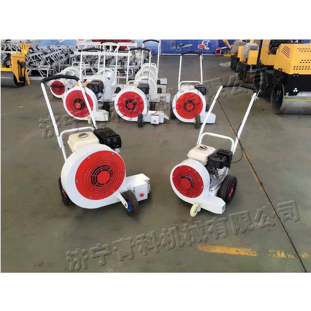 清路面灌缝灰尘扫机EIS小型庭院落叶清理机手吹推式政道路风市机
