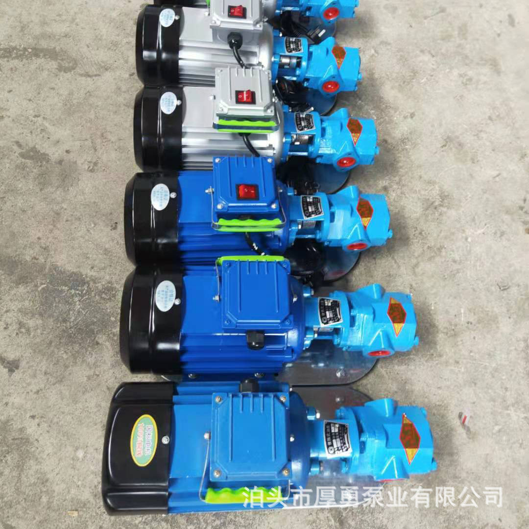 泊头厚勇 WCB小型手提式齿轮泵 便携式手提齿轮泵 家用电动抽油泵