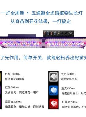 一灯1种竹光谱6LED板植物生长JWC灯量子育苗月季花龟背龙舌兰补光
