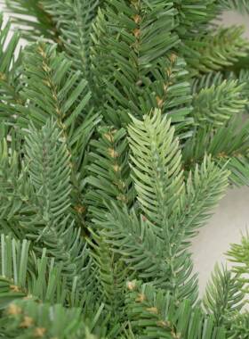 圣诞店藤条2.7米m加密绿色藤条挂大型圣树枝酒诞商场橱窗BC-55装