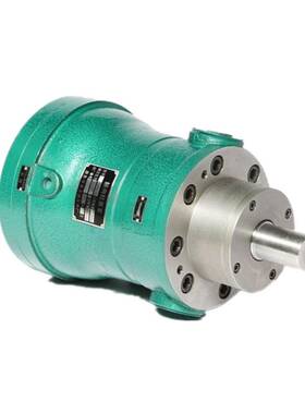 上海邵扬轴向柱塞油泵10MCY14-1B 25YCY 5 40 63 80 32PCY 160SCY