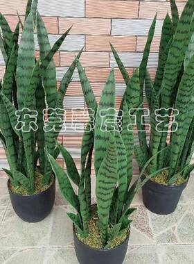 黄XOS虎边皮兰绿色室内真仿大盆栽假绿植居装饰仿家真植物