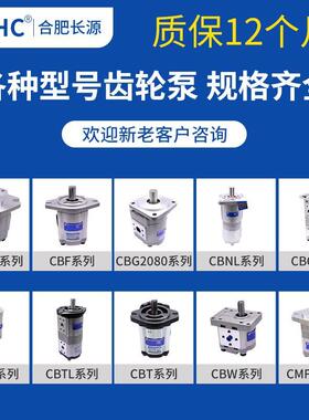 齿轮泵CWBF304/306/-310/3016/32-CLP电机泵套联JWC轴器