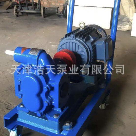 小车齿轮泵TDYD柴油机油液压油沥青胶水稠油油漆齿轮泵