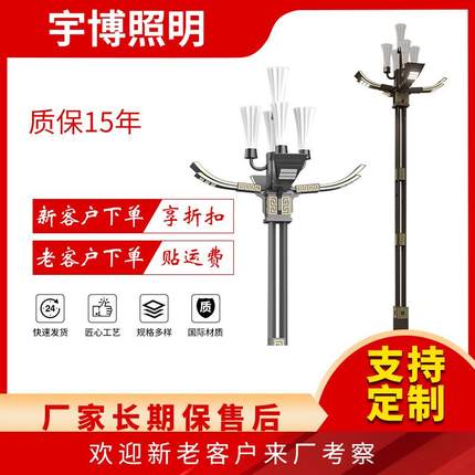 生产LED市电路灯户外广场中华灯市政异形路灯琼楼玉宇系列灯