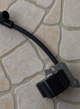 IgnitionBG45BG46BG50BG55BG65BG85SH55SH85高压包点火器