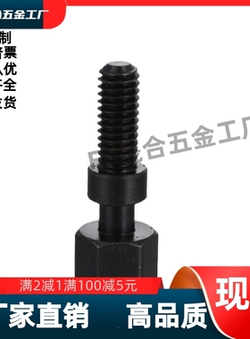 发黑调整螺栓PAY21-M4M5M6M8-L10L15L20L25L35L30L40L45L50L55L60