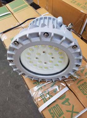 防水led防爆灯具100w150w200wled免维护防爆泛光灯圆形应急防爆灯