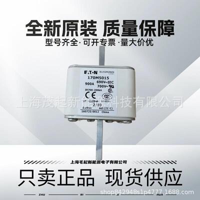 170M5062170M5163170M5015170M5218170M5213巴斯曼熔断器