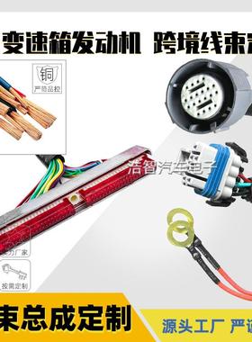 LS1 4L60E DBC发动机线束4.8 5.3 6.0 VORTEC DRIVE BY CABLE跨境