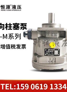 恒源HY10/28/40/55/63/71/80/90/100/107/160M-RP/LP轴向柱塞泵
